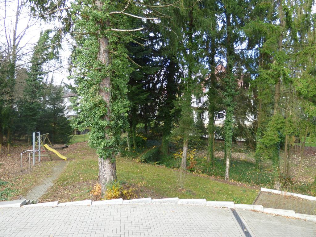 Sewer Apartment Баден-Баден Екстериор снимка